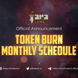 Announcement: Token Burn monthly schedule