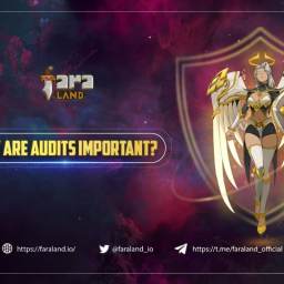 Why does Faraland focus on Audit?